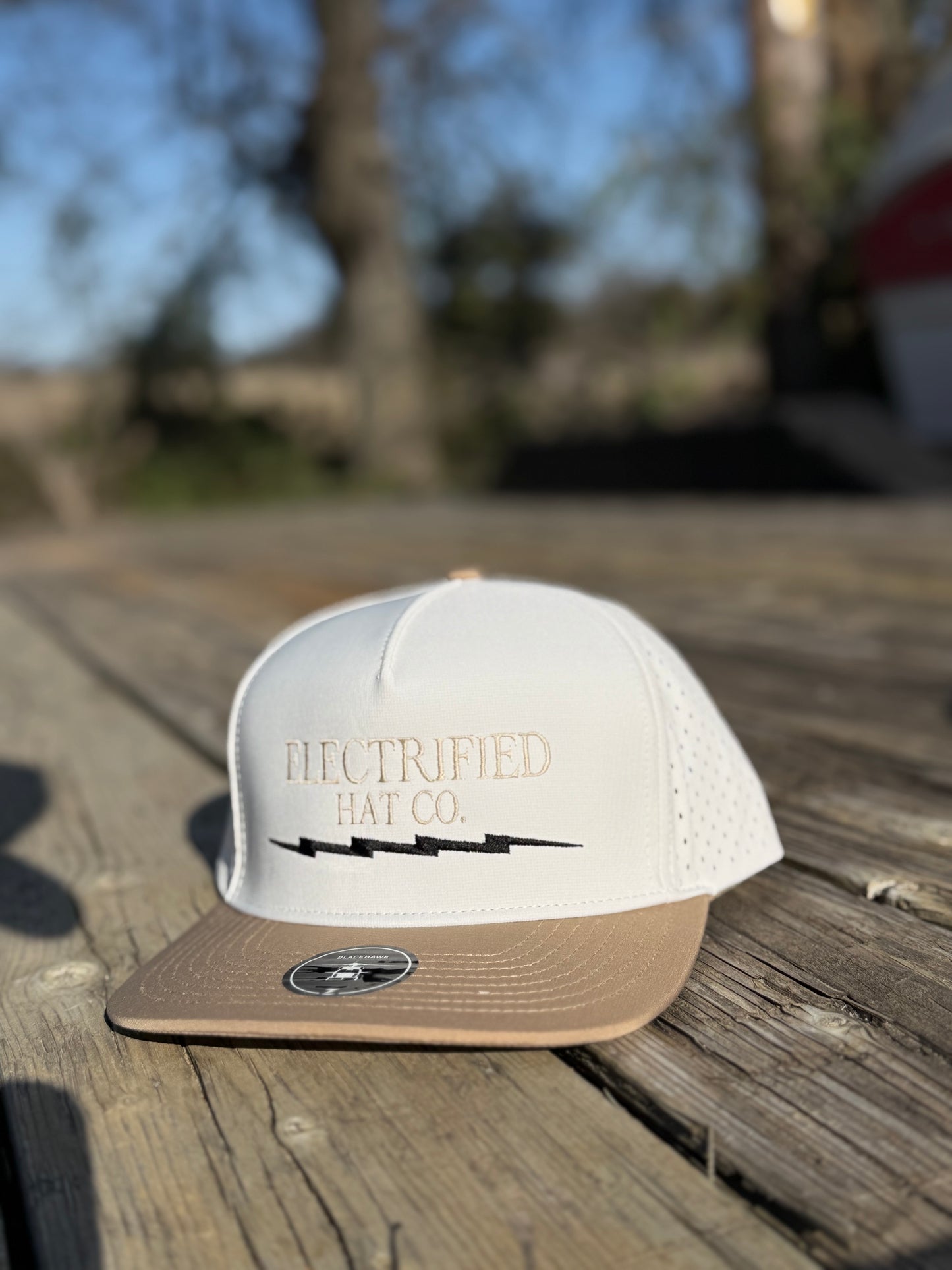 OG Electrified perforated SnapBack